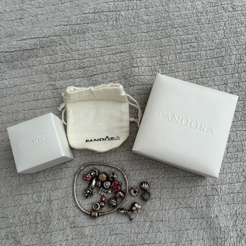 Pandora Bracelet and 17 Charms